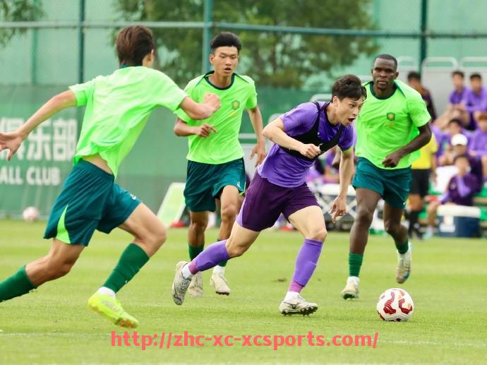 杏彩体育-西甲联赛外援制度演变与球队引援策略对比