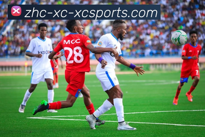 App Interface Preview