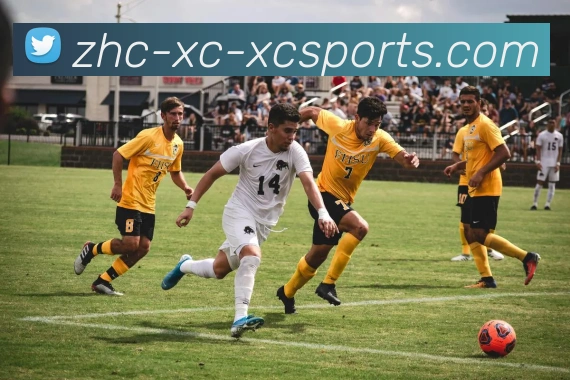 杏彩体育APP 封面图