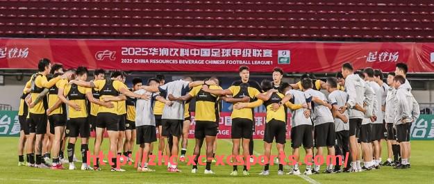 杏彩体育-英超球队球衣赞助商的选择与市场策略